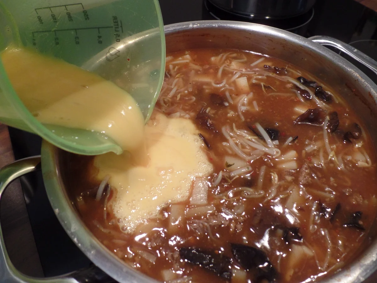 Szechuansuppe - Rezept - Bild Nr. 13059