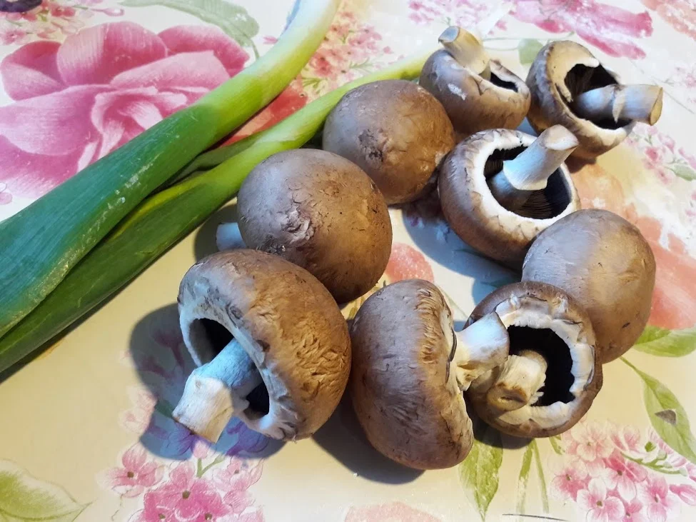 Nudeln mit Pilzrahmsoße - Rezept - Bild Nr. 5