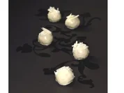 Rezept: Weiße Kokos-Trüffel Weiße Kokos-Trüffel - Rezept