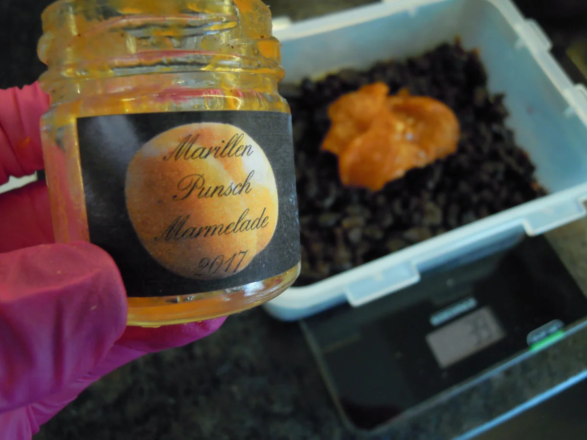 Topfen/Quark Stollen mit Dörrpflaumen Füllung - Rezept - Bild Nr. 25