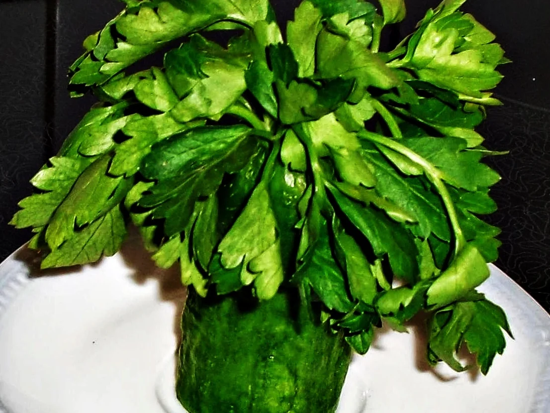 Pikanter Feldsalat - kochbar Challenge 2.0 (Februar 2021) - Rezept - Bild Nr. 15