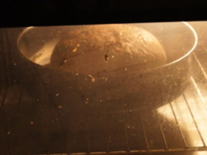 Herzhaftes Brot ohne Sauerteig - Rezept - Bild Nr. 11