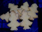 Rezept: Kokos-Zitronen-Bäumchen Kokos-Zitronen-Bäumchen - Rezept