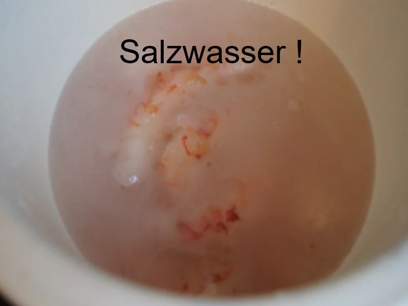 Blitzgarnelen in Kokosmilch - Rezept - Bild Nr. 3