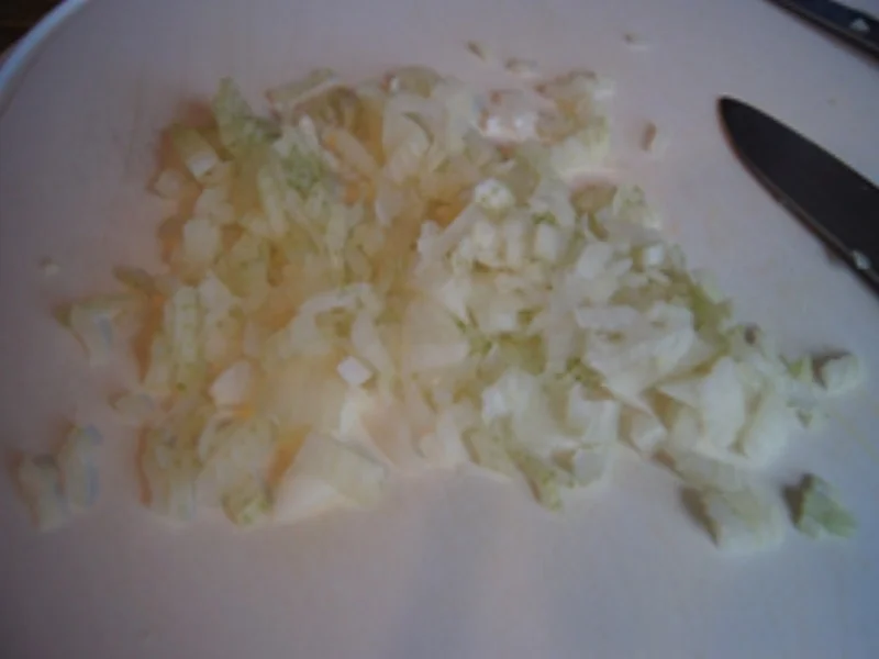 Asiatisch gewürzte Lachsbuletten mit Man-go-Gurken-Salsa - Rezept - Bild Nr. 6