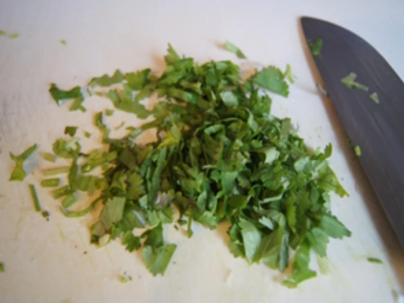 Asiatisch gewürzte Lachsbuletten mit Man-go-Gurken-Salsa - Rezept - Bild Nr. 8