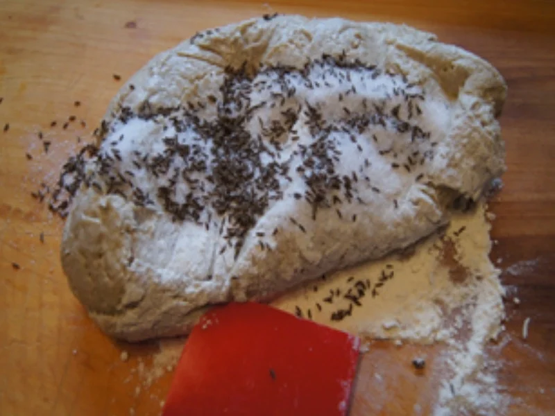 Kümmelbrot - Rezept - Bild Nr. 11