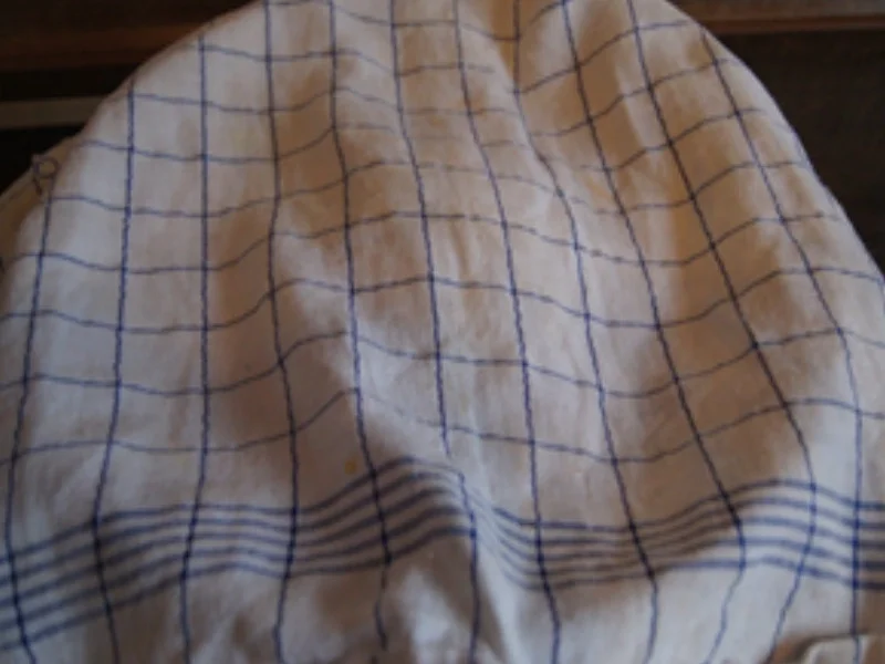 Kümmelbrot - Rezept - Bild Nr. 15