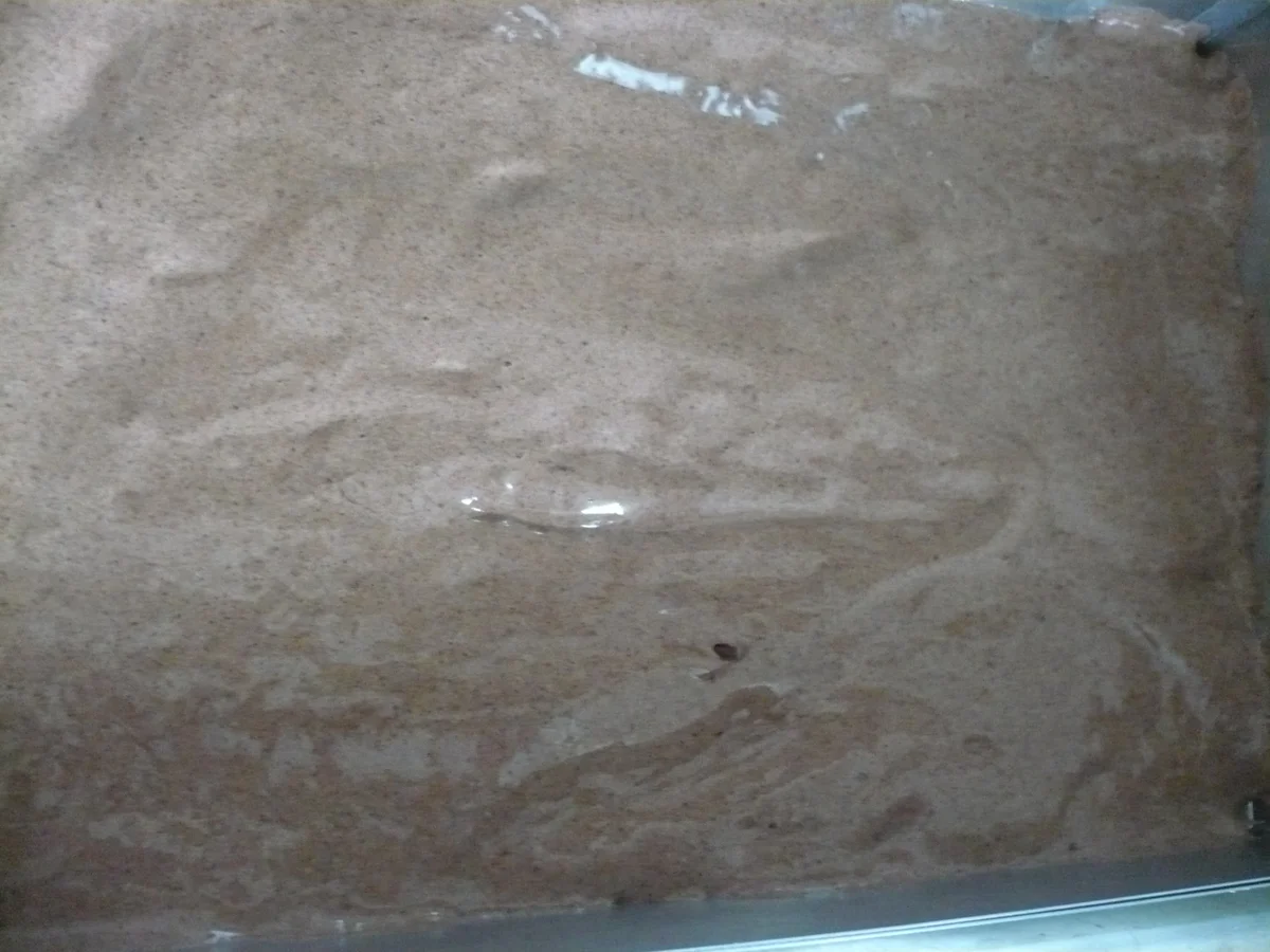 Schoko-Quark - Kirschkuchen - Rezept - Bild Nr. 5