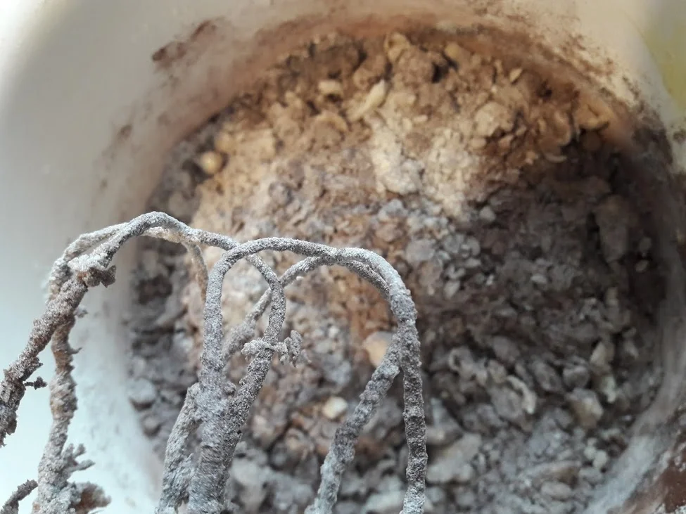 Rezept: Zupfkuchen Bild Nr. 5 Zupfkuchen - Rezept - Bild Nr. 5