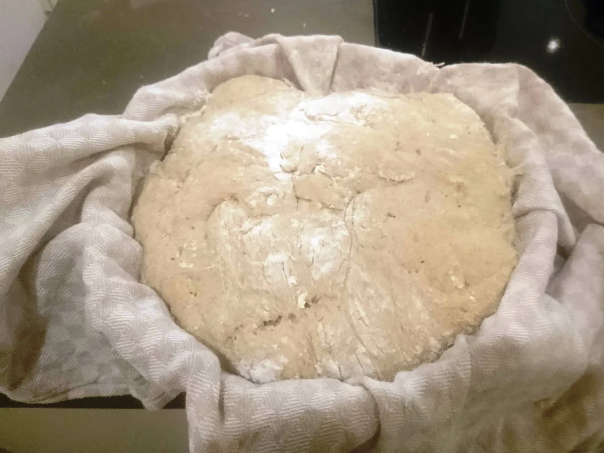 Brot: Dinkel-Sauerteig Kruste - Rezept - Bild Nr. 6