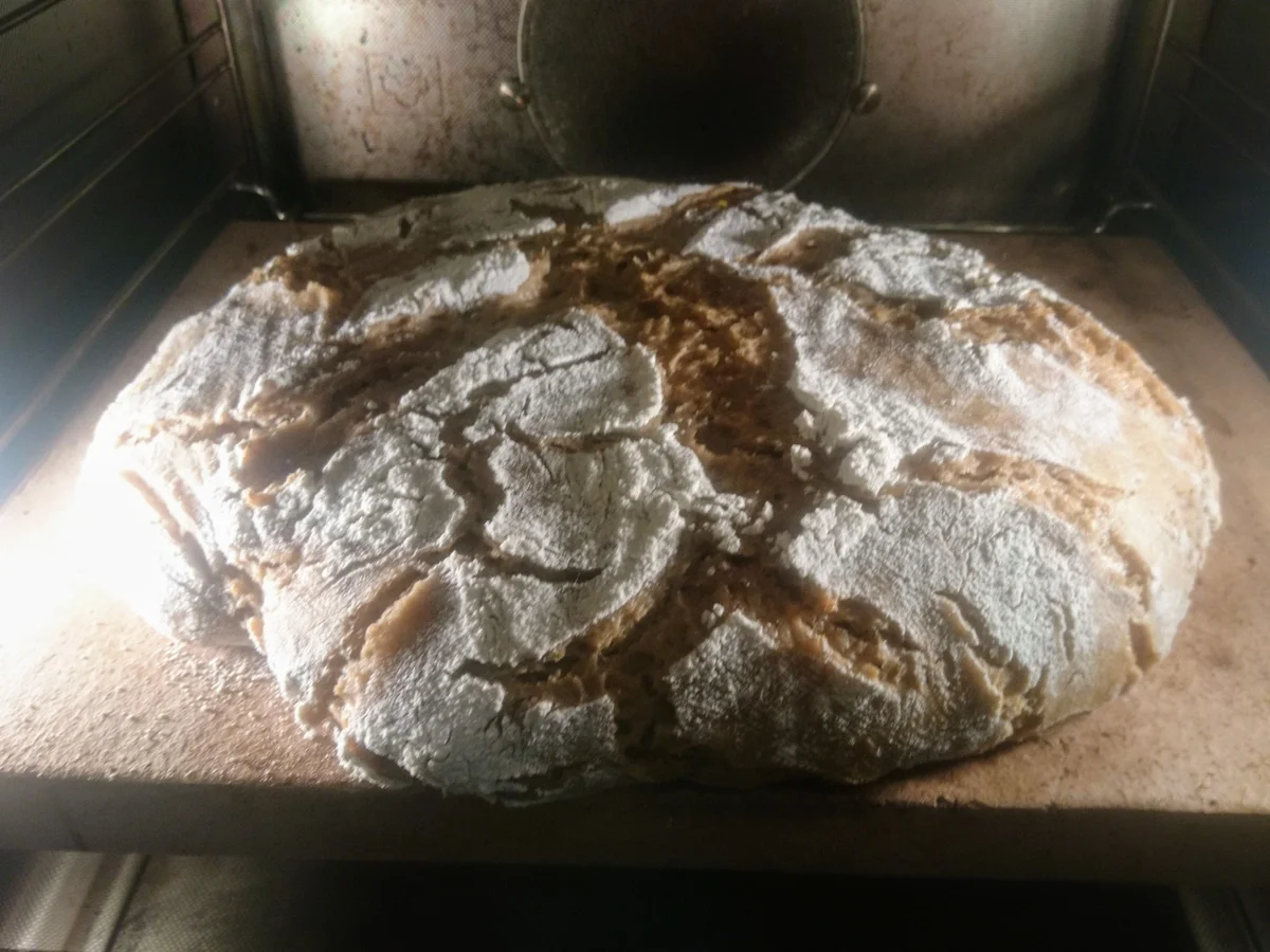 Brot: Dinkel-Sauerteig Kruste - Rezept - Bild Nr. 7
