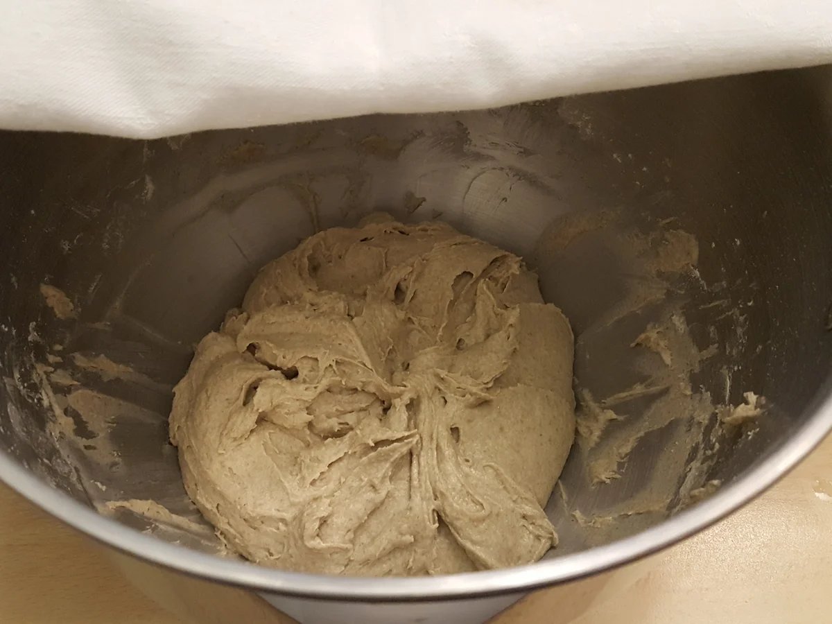 Rezept: Reine Roggenbrötchen Bild Nr. 13507 Reine Roggenbrötchen - Rezept - Bild Nr. 13507