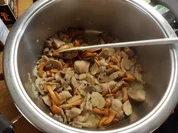 Schnitzel Rouladen mit Käsefüllung in Mischpilzsauce - Rezept - Bild Nr. 2