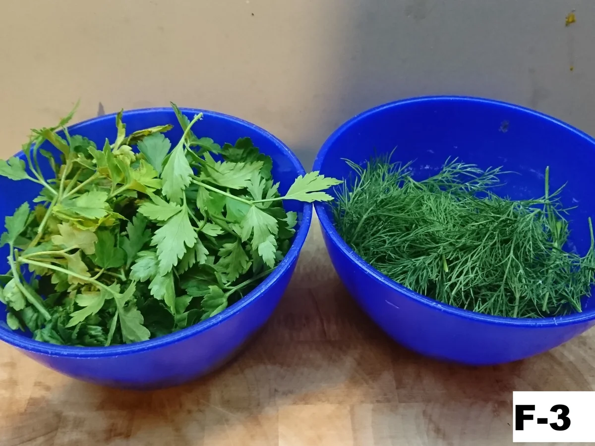 Pelmeni (russische Maultaschen) in Töpfen klassisch. - Rezept - Bild Nr. 13538