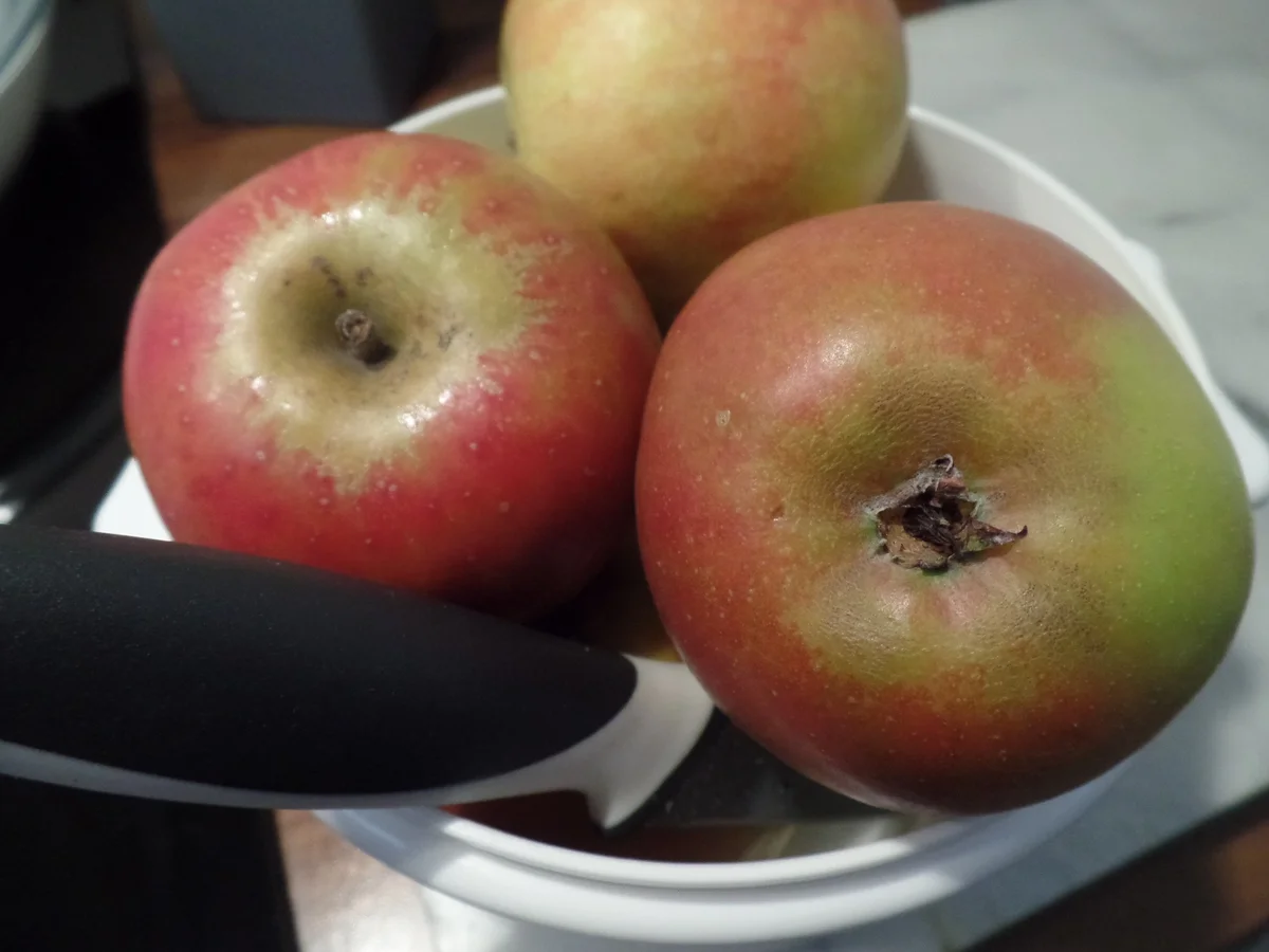 Rezept: Schneller Apfelkuchen Bild Nr. 13536 Schneller Apfelkuchen - Rezept - Bild Nr. 13536