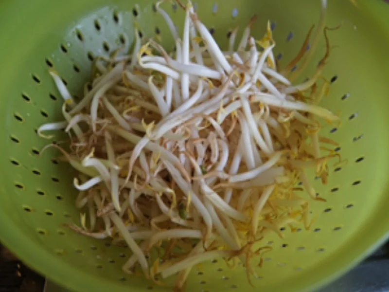 Chinesisch gebratene Nudeln wie beim Asiaten - Rezept - Bild Nr. 12