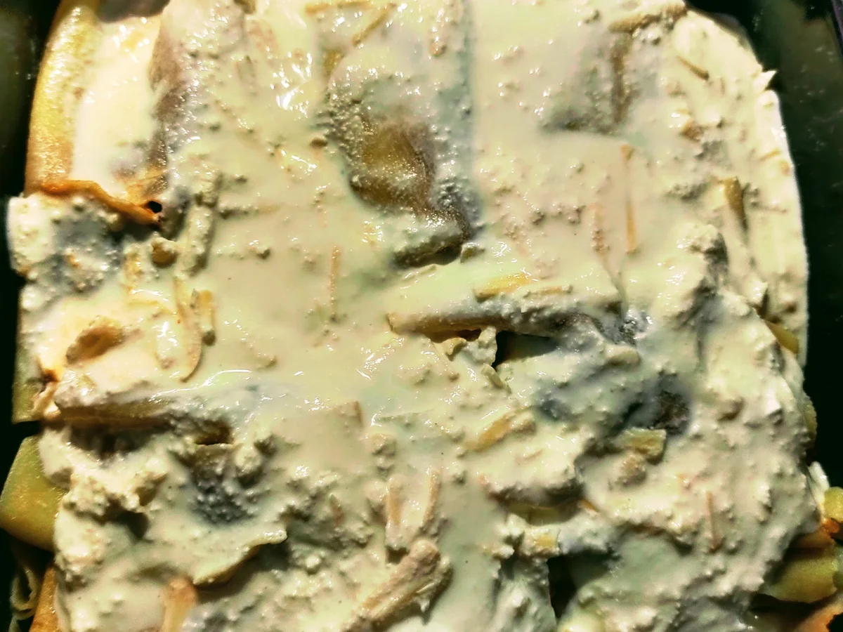 Rezept: Canneloni mit Sauce Bolognese und Ricotta Bild Nr. 22 Canneloni mit Sauce Bolognese und Ricotta - Rezept - Bild Nr. 22