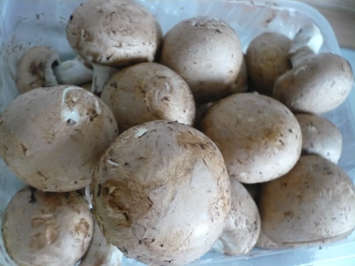 Rezept: Saftige Putenkeule auf Gemüse Bild Nr. 5 Saftige Putenkeule auf Gemüse - Rezept - Bild Nr. 5