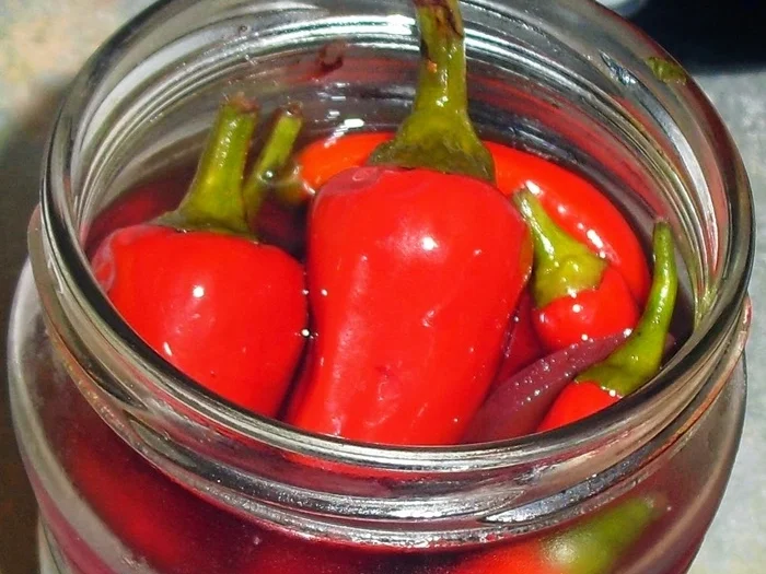 Rezept: Chilis eingelegt Bild Nr. 2 Chilis eingelegt - Rezept - Bild Nr. 2