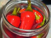 Rezept: Chilis eingelegt Bild Nr. 2 Chilis eingelegt - Rezept - Bild Nr. 2