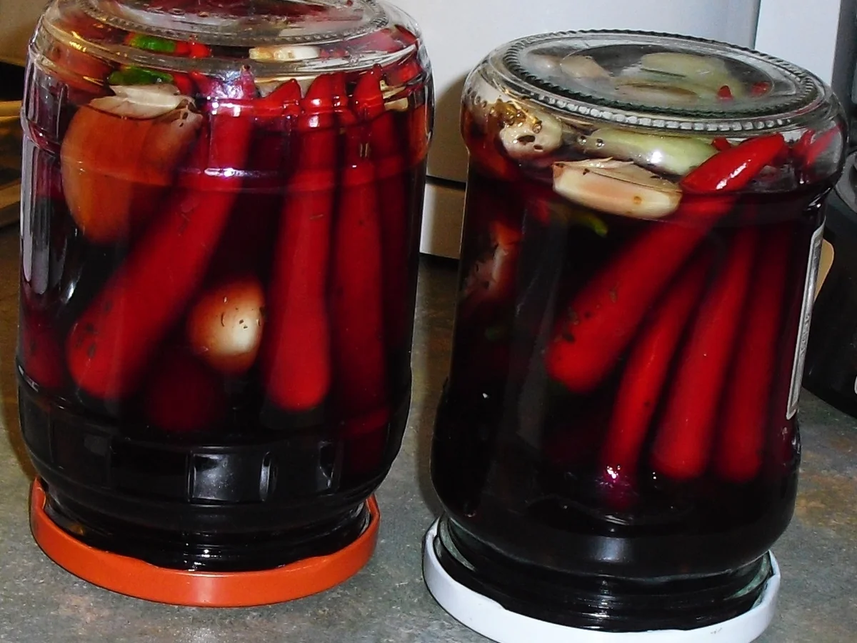 Rezept: Chilis eingelegt Bild Nr. 3 Chilis eingelegt - Rezept - Bild Nr. 3