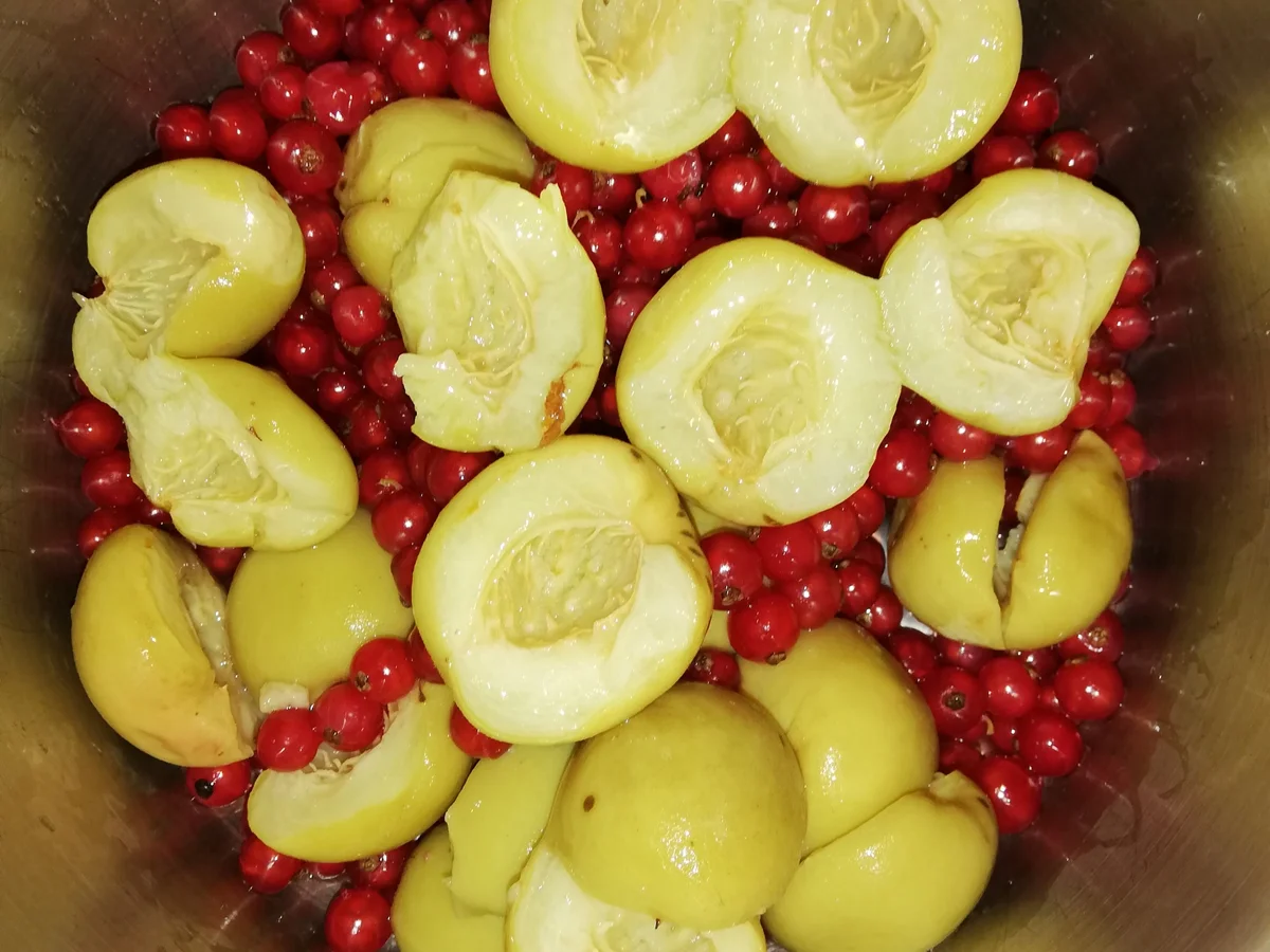 Johannesbeer - Pfirsichmarmelade - Rezept - Bild Nr. 2