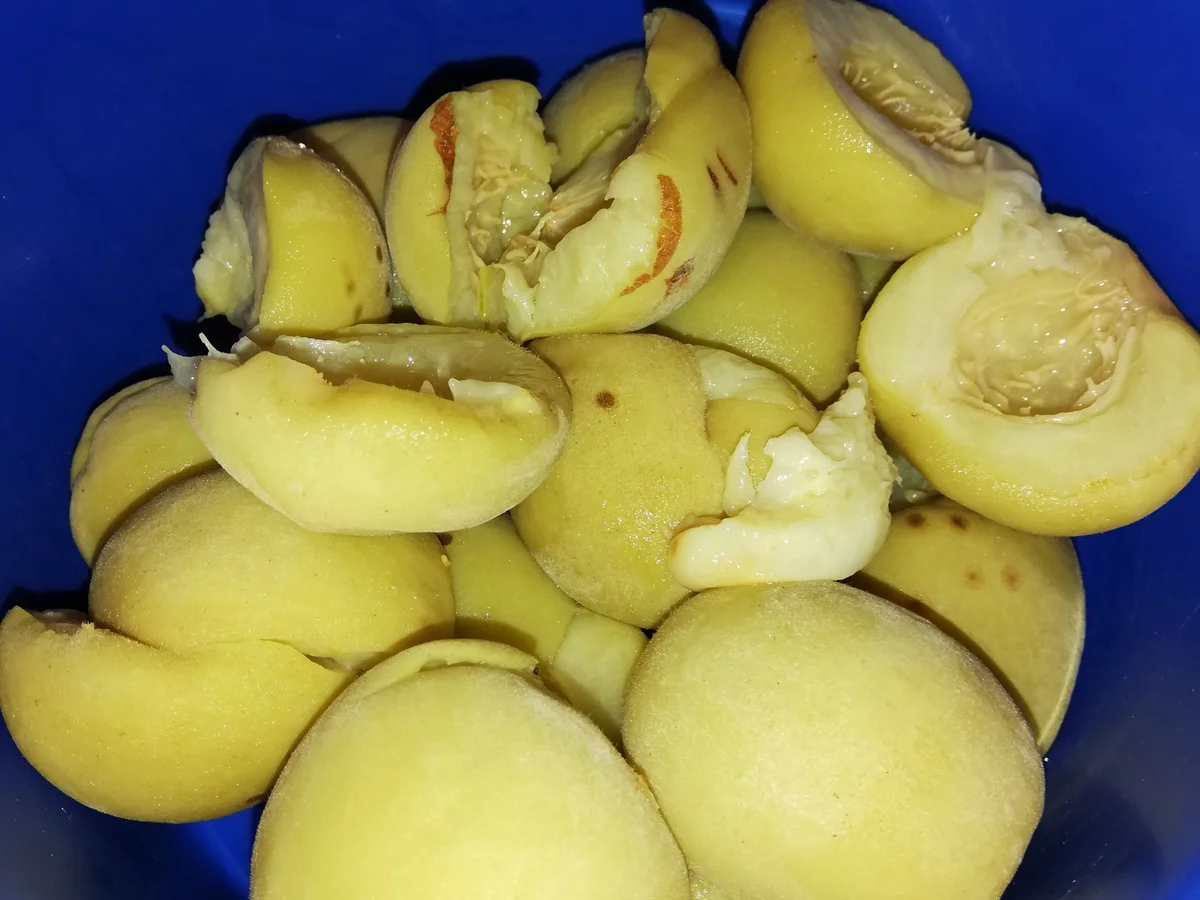 Johannesbeer - Pfirsichmarmelade - Rezept - Bild Nr. 3