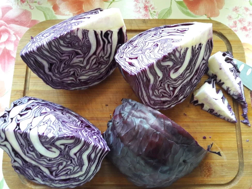 Rotkrautsalat - Rezept - Bild Nr. 13633