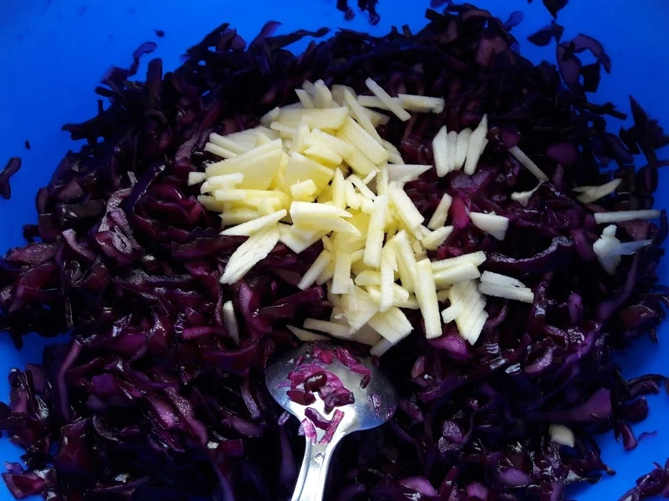 Rotkrautsalat - Rezept - Bild Nr. 13636