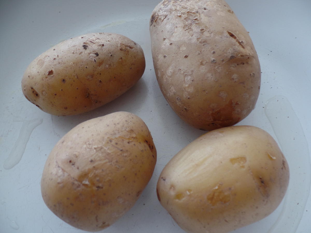 Kartoffel-Eier-Auflauf - Rezept - Bild Nr. 13663