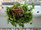 Feigenbulgur mit Pilzen und Zucchini auf schwarzem Reis im Rucolanest - Rezept - Bild Nr. 2