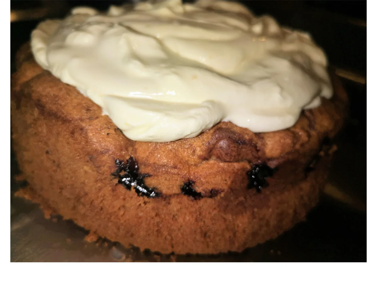 BiNe` S DONAUWELLE MIT EINER QUARKCREME - Rezept - Bild Nr. 13708