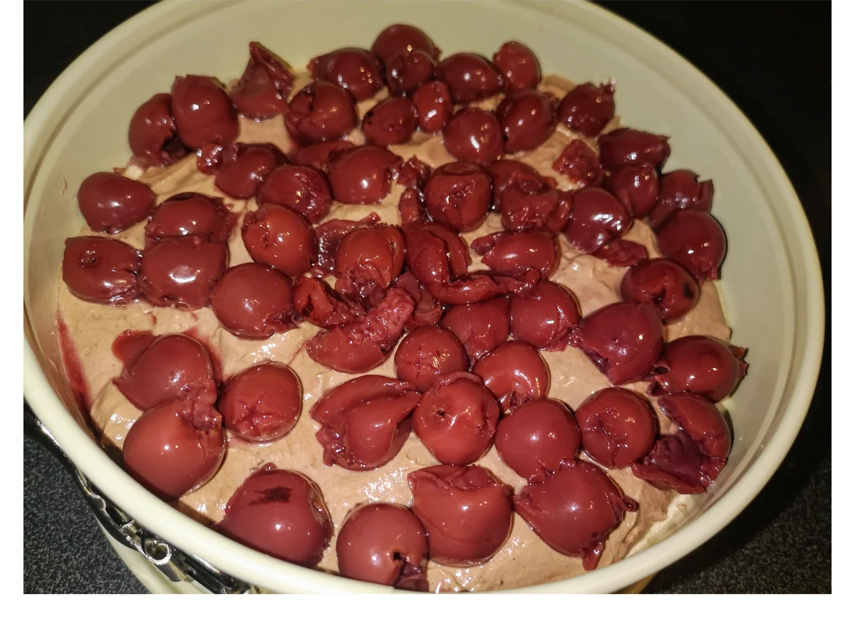 BiNe` S DONAUWELLE MIT EINER QUARKCREME - Rezept - Bild Nr. 13709