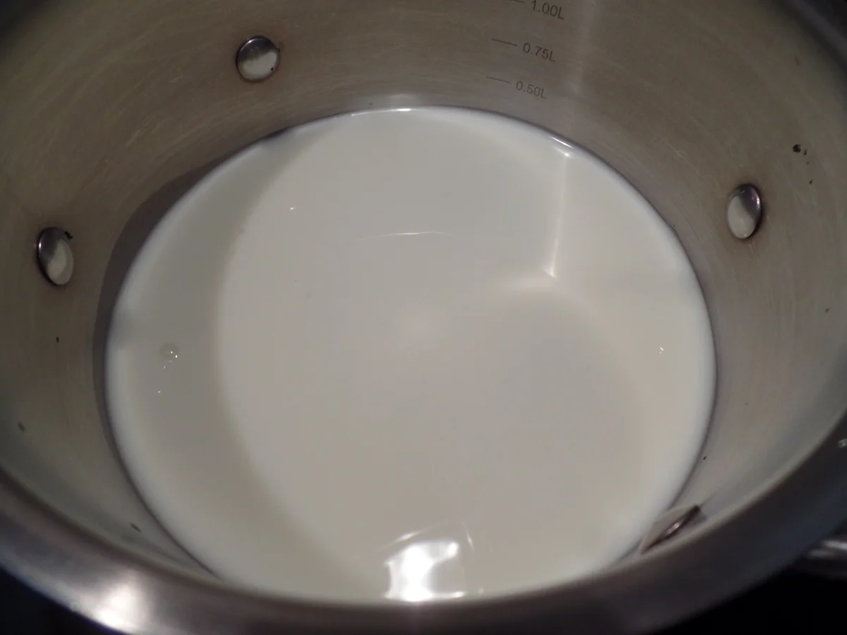 Flammkuchen mit Lauch und Lachs - Rezept - Bild Nr. 13708