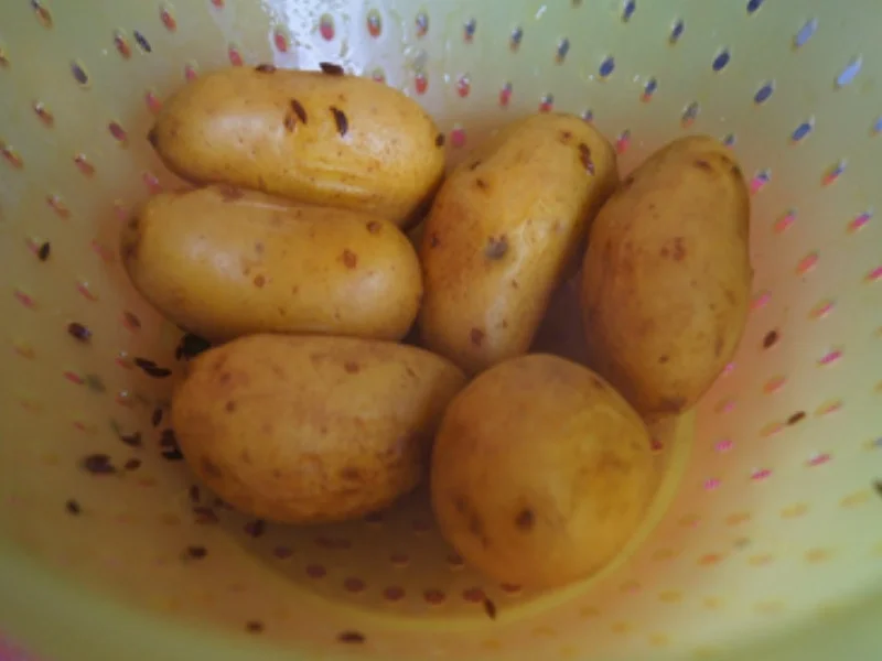 Pellkartoffel-Quark-Diät-Essen - Rezept - Bild Nr. 5