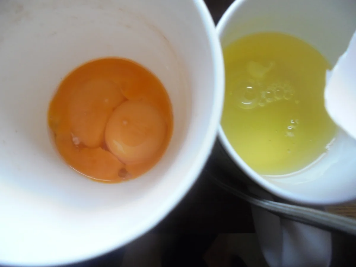 Welfenspeise - Rezept - Bild Nr. 13781