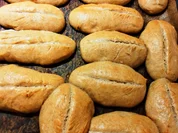 Dinkel-Milch-Brötchen - Rezept - Bild Nr. 13788