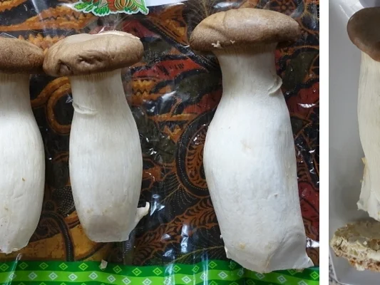 Pilz-Carpaccio mit Garnelen "Louisiana" - Rezept - Bild Nr. 13795