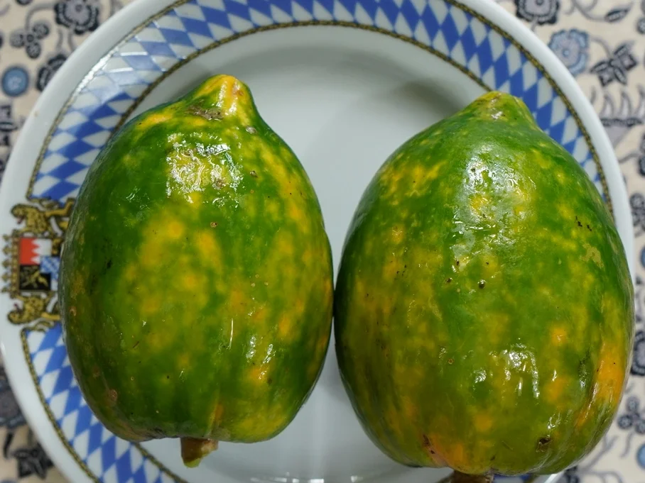 Rezept: Würziger Papayasalat mit Lachs ala Lotus-Garden Bild Nr. 13795 Würziger Papayasalat mit Lachs ala Lotus-Garden - Rezept - Bild Nr. 13795