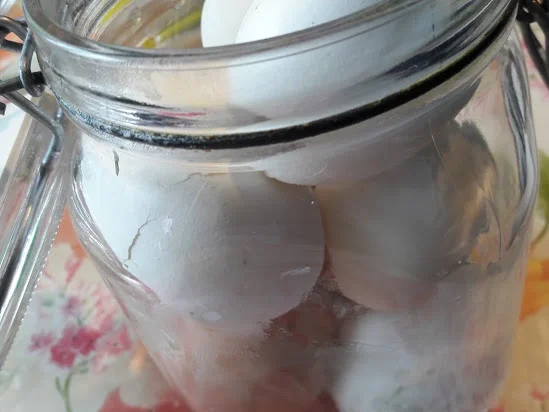 Soleier - Rezept - Bild Nr. 13802