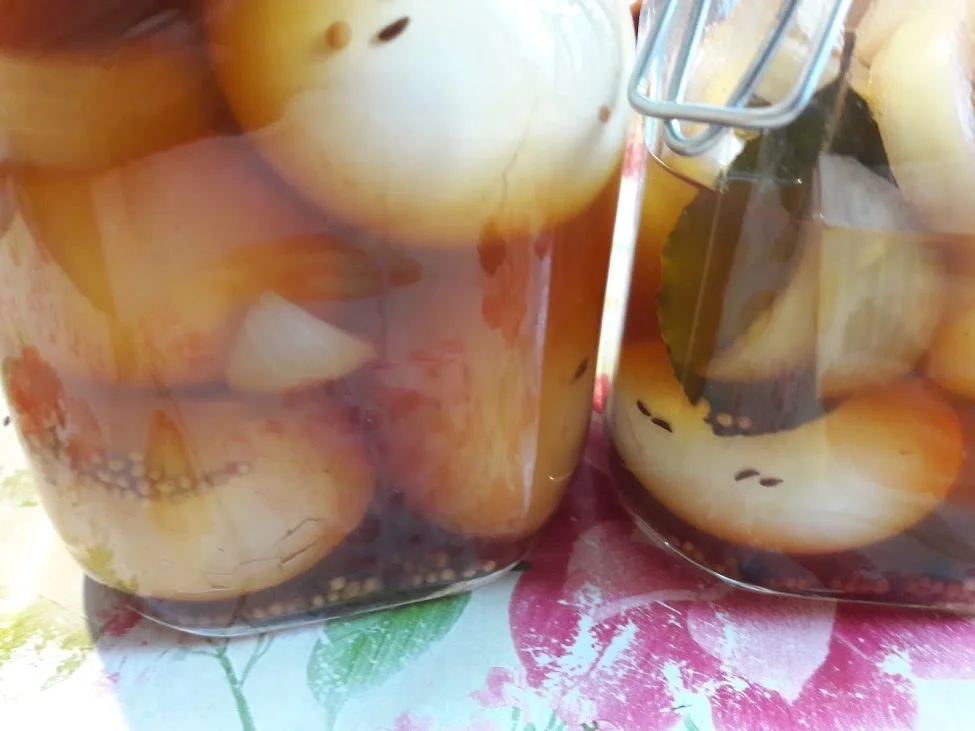 Soleier - Rezept - Bild Nr. 13803