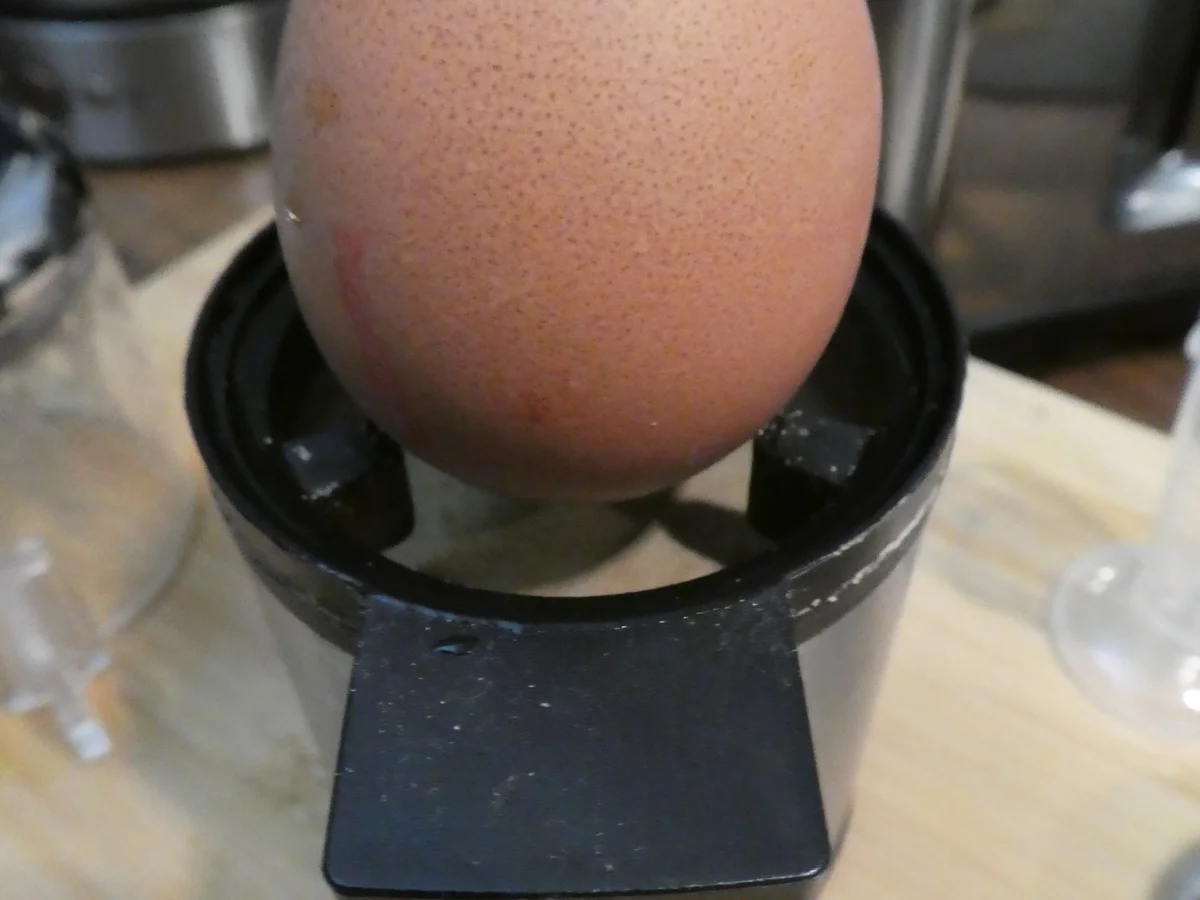 Rezept: Gebratene Asia-Nudeln mit Pilzen Bild Nr. 13806 Gebratene Asia-Nudeln mit Pilzen - Rezept - Bild Nr. 13806