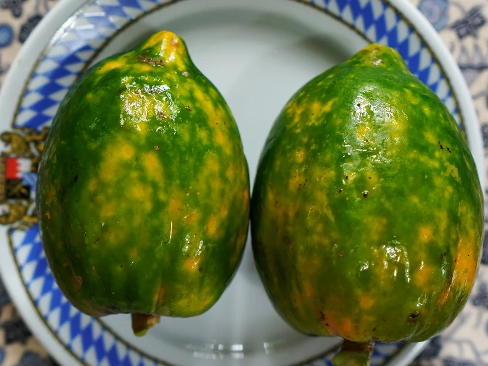 Papayasalat mit Garnelen und Avocado ala Delicio - Rezept - Bild Nr. 13796