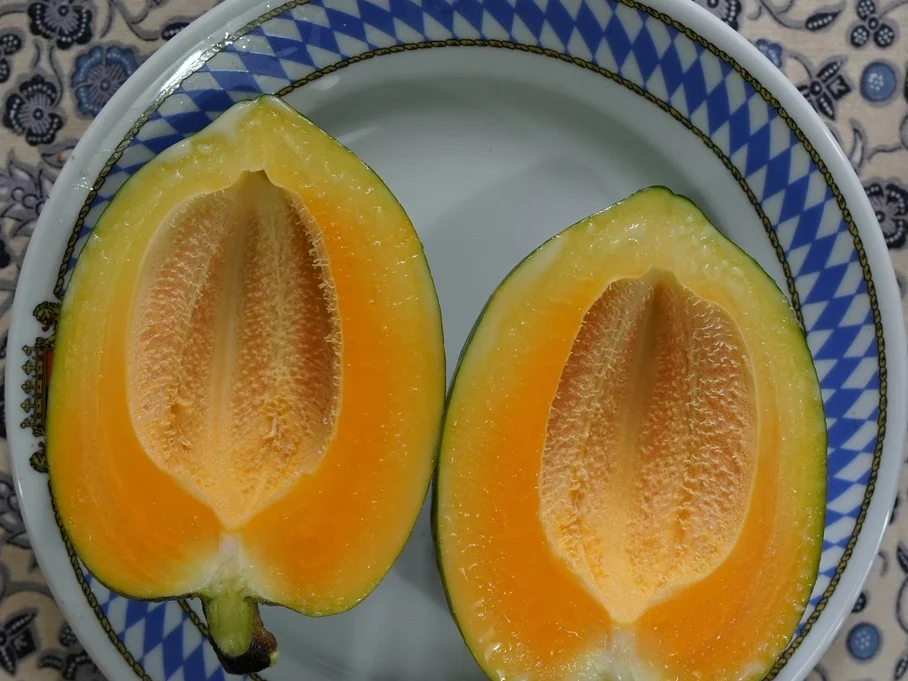 Papayasalat mit Garnelen und Avocado ala Delicio - Rezept - Bild Nr. 13797