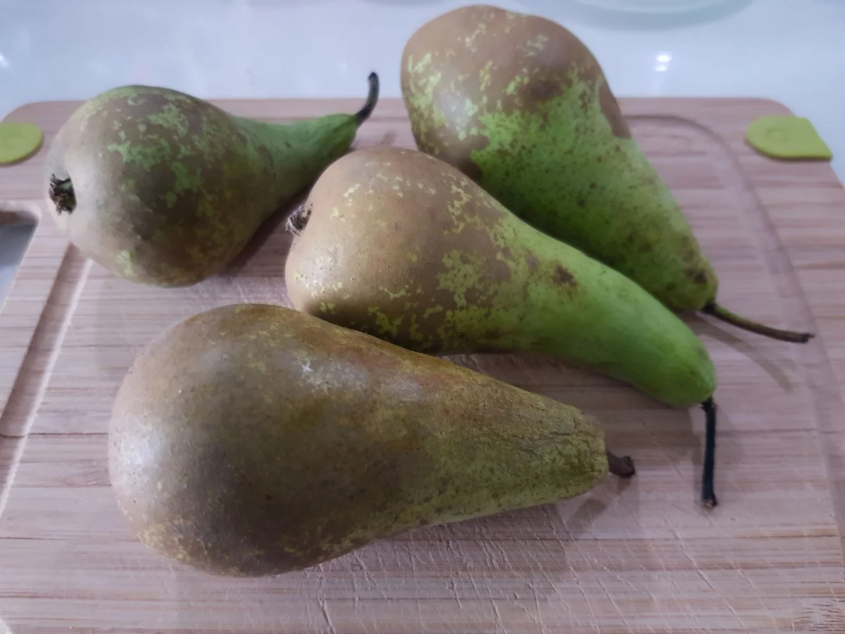 Rotwein-Kuchen mit Birnen und Walnuss-Krokant - Rezept - Bild Nr. 13811