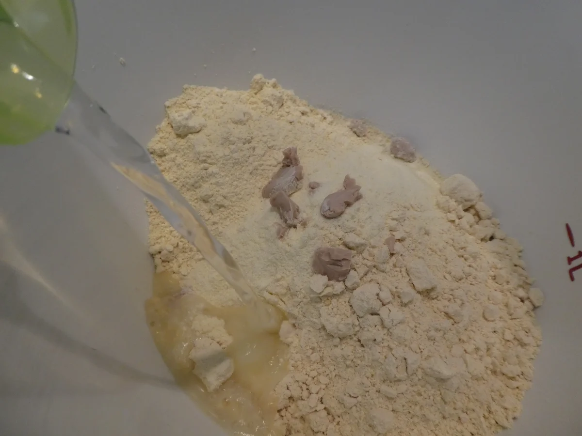 Pinsa Romana - Rezept - Bild Nr. 13834