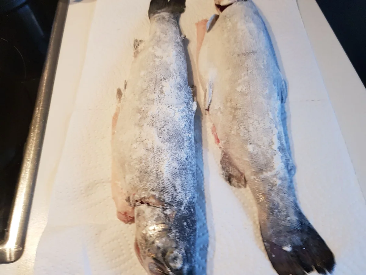 Forelle "Müllerin" - Rezept - Bild Nr. 13836