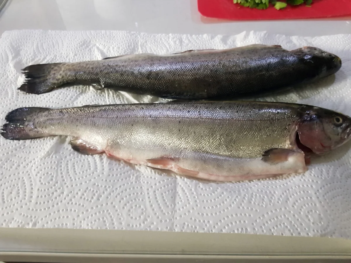 Forelle "Müllerin" - Rezept - Bild Nr. 13837