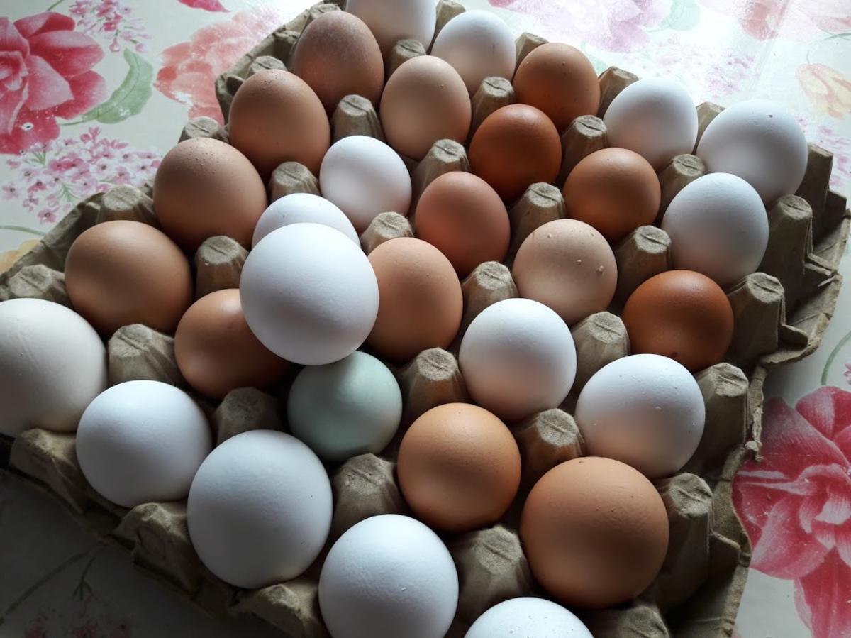 Eierkuchen - Torte zur kochbar Challenge April 2021 - Rezept - Bild Nr. 13839